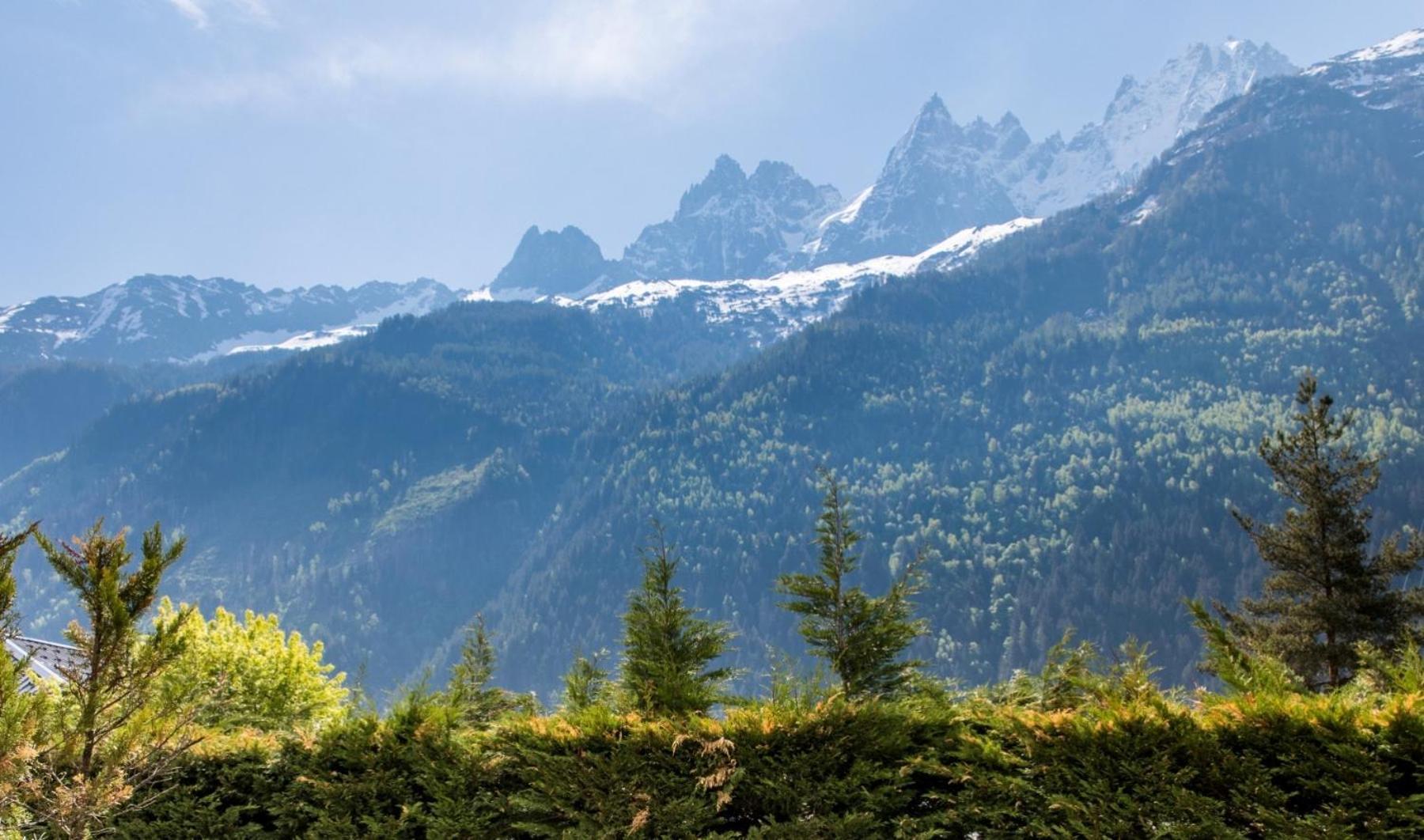 Villa Floria Apartment Chamonix Kültér fotó